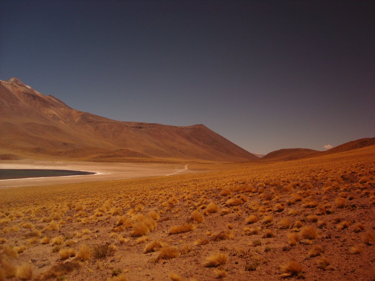 about-us-02 Breathtaking view of a desert landscape with distant mountains and a tranquil oasis under a clear sky.